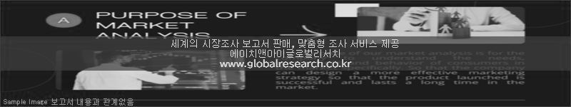 조사 보고서 이미지