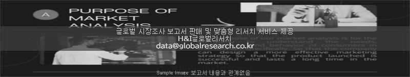 조사 보고서 이미지