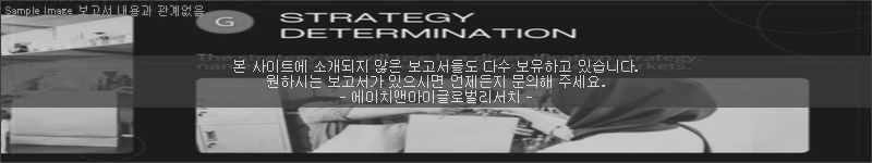 조사 보고서 이미지