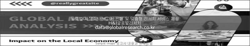 조사 보고서 이미지