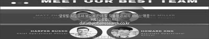 조사 보고서 이미지