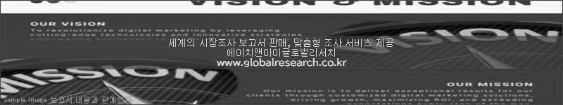 조사 보고서 이미지