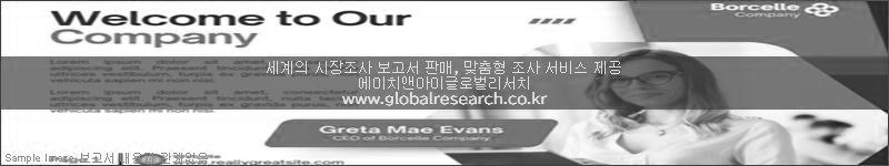 조사 보고서 이미지