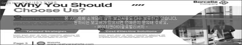 조사 보고서 이미지