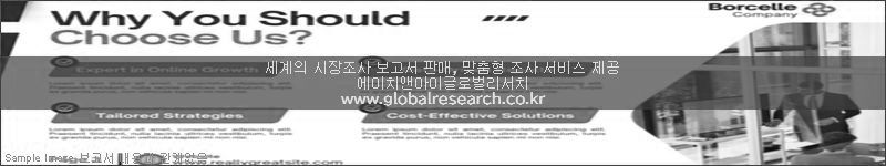 조사 보고서 이미지
