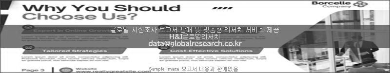 조사 보고서 이미지