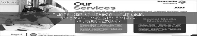 조사 보고서 이미지