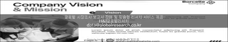 조사 보고서 이미지