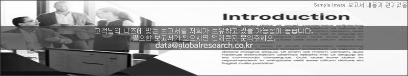 조사 보고서 이미지
