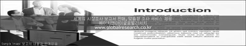 조사 보고서 이미지