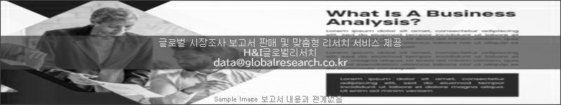 조사 보고서 이미지