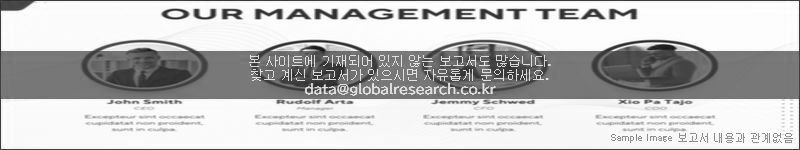 조사 보고서 이미지