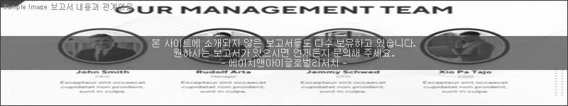 조사 보고서 이미지