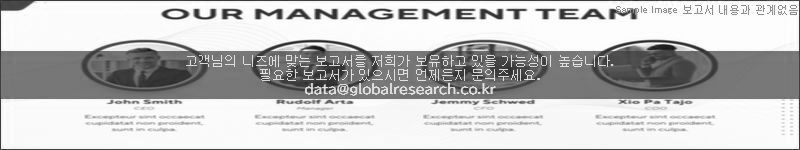 조사 보고서 이미지