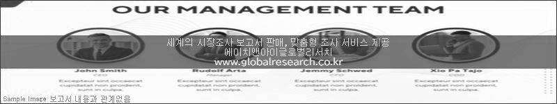 조사 보고서 이미지