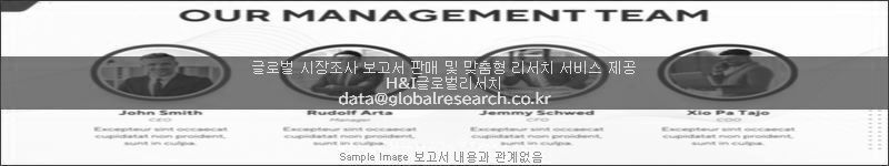 조사 보고서 이미지