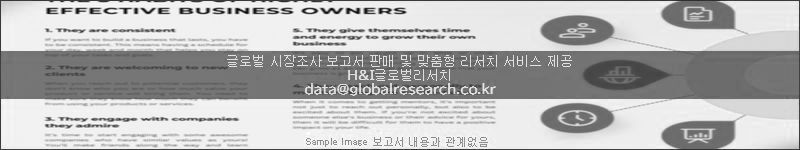 조사 보고서 이미지