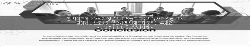 조사 보고서 이미지