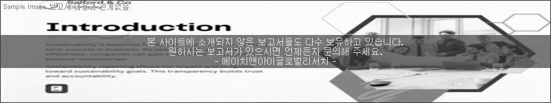 조사 보고서 이미지