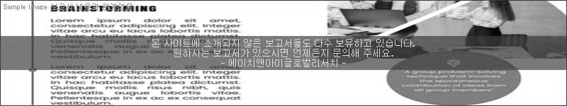 조사 보고서 이미지