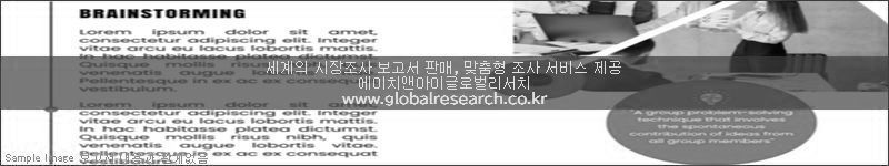 조사 보고서 이미지