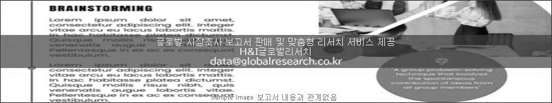 조사 보고서 이미지