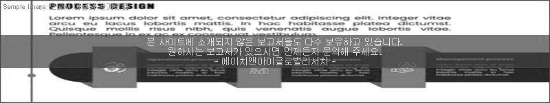 조사 보고서 이미지