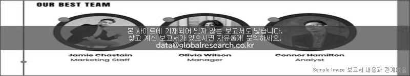 조사 보고서 이미지