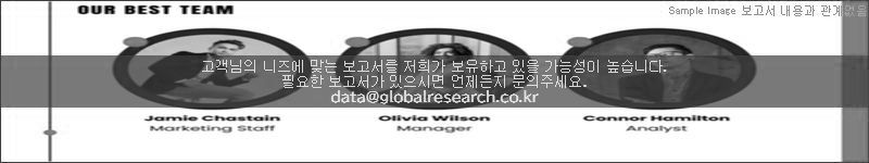 조사 보고서 이미지