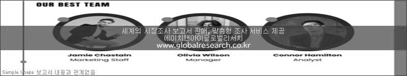 조사 보고서 이미지