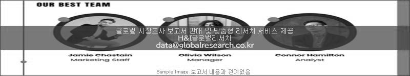 조사 보고서 이미지