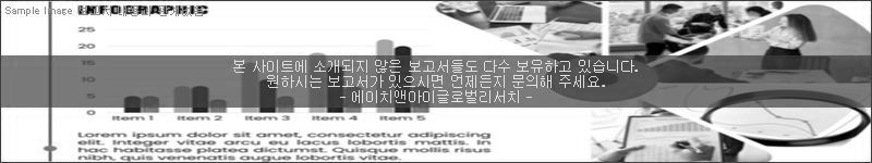 조사 보고서 이미지