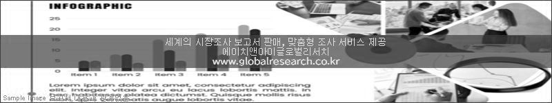 조사 보고서 이미지