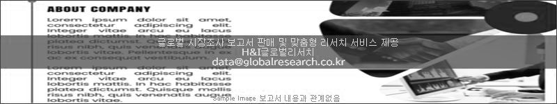 조사 보고서 이미지