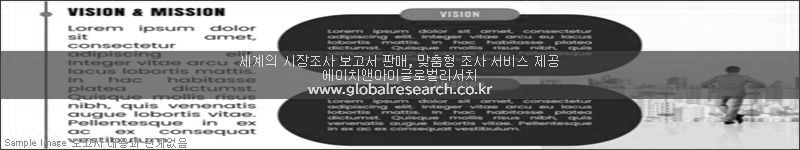 조사 보고서 이미지