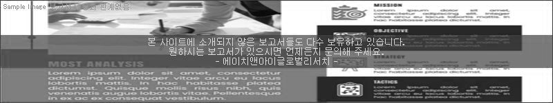 조사 보고서 이미지