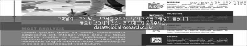 조사 보고서 이미지