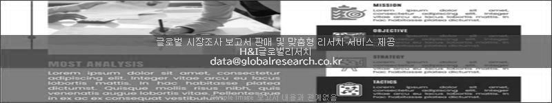 조사 보고서 이미지