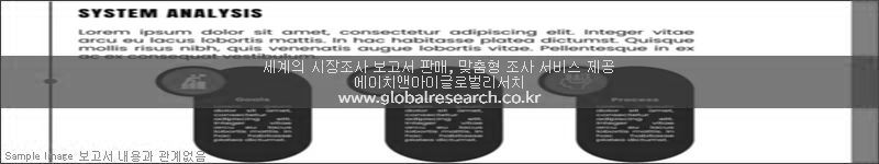 조사 보고서 이미지