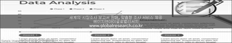 조사 보고서 이미지