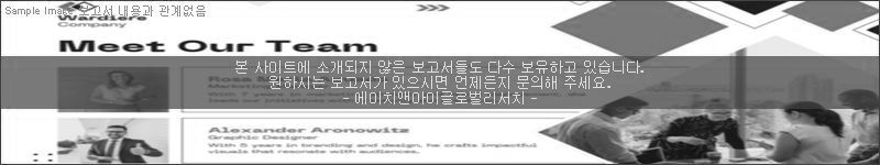 조사 보고서 이미지