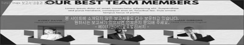 조사 보고서 이미지
