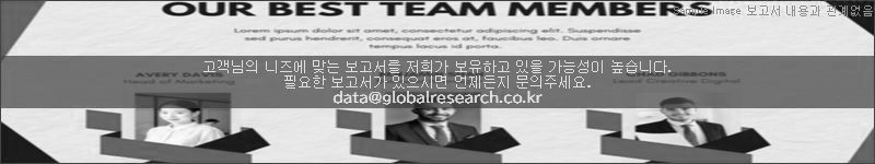 조사 보고서 이미지