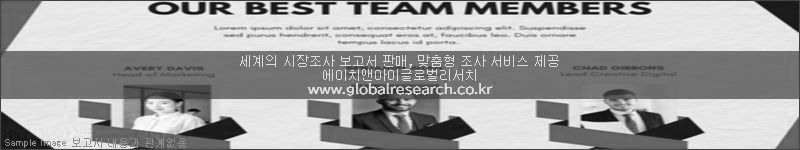 조사 보고서 이미지