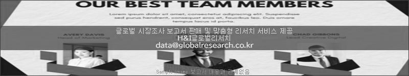 조사 보고서 이미지