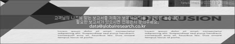 조사 보고서 이미지