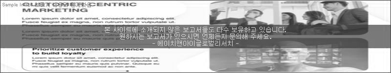 조사 보고서 이미지