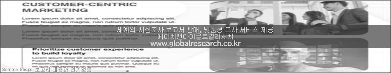 조사 보고서 이미지