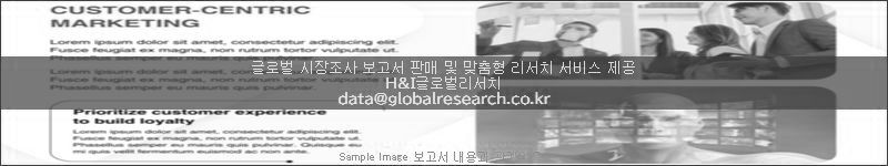 조사 보고서 이미지