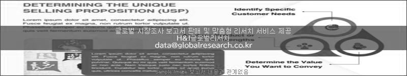 조사 보고서 이미지